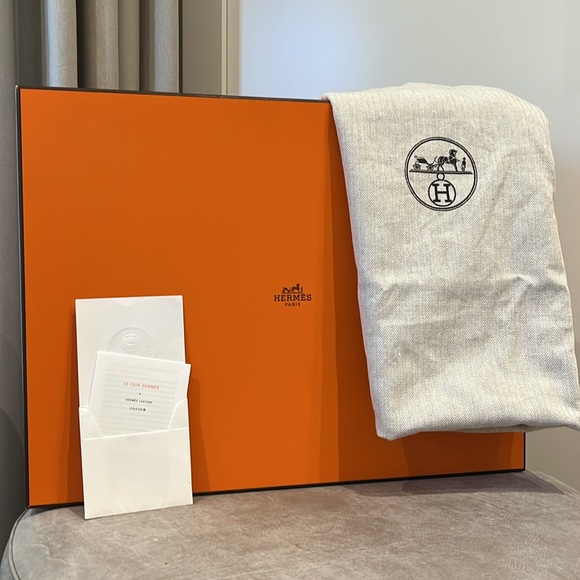 HERMÈS Authentic Jypsiere Bag with Palladium Hardware - Picture 10 of 12